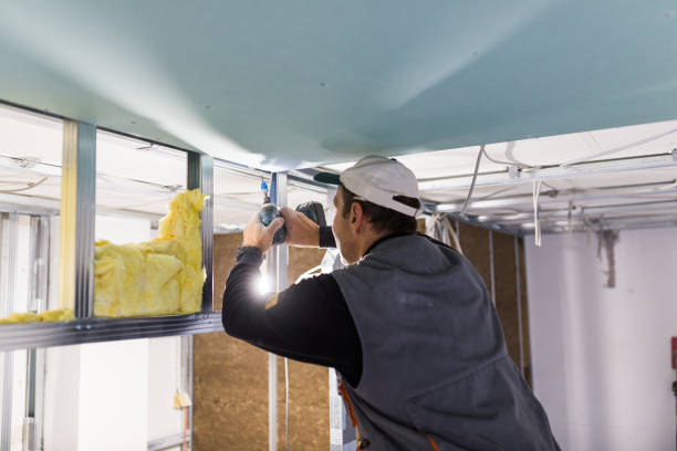Best Cellulose Insulation in Stratford, CA