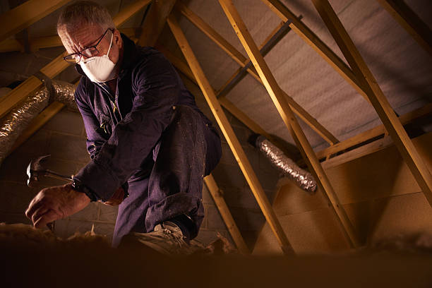 Best Commercial Insulation in Stratford, CA